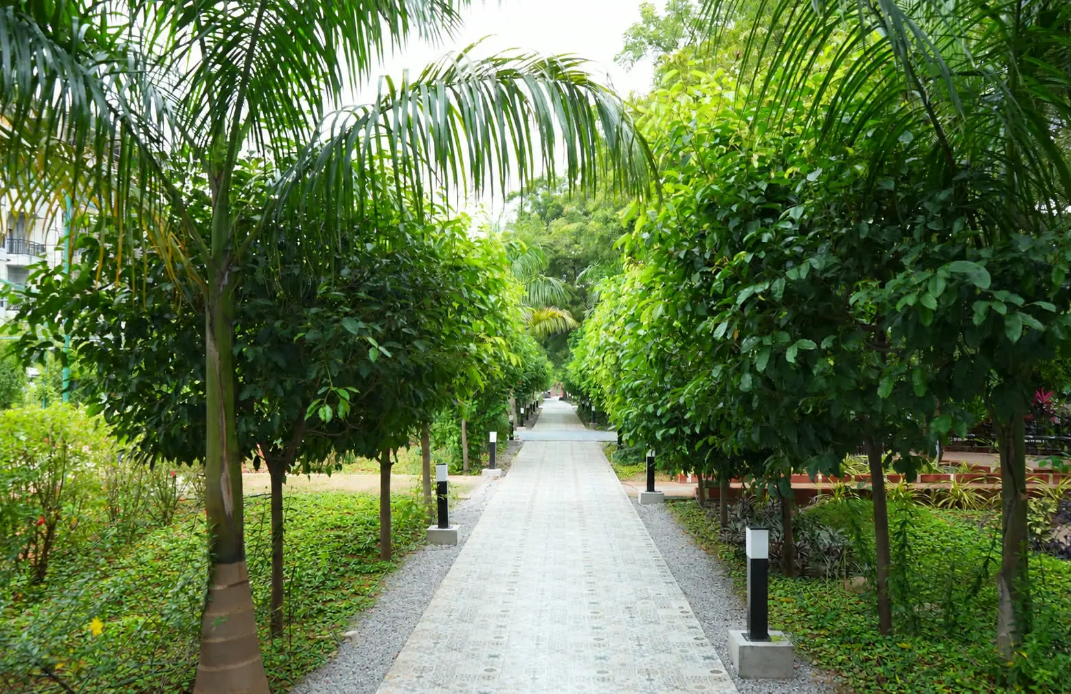 A tiled garden walk lined with palms and clipped trees